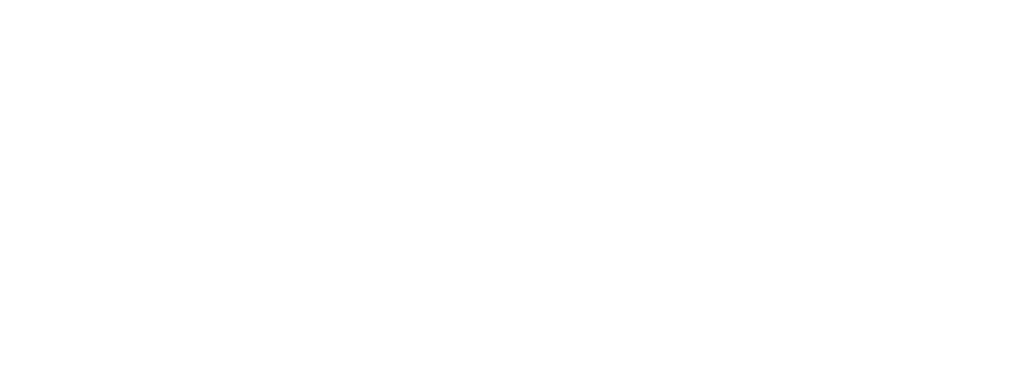 ש.ד.י מגדל דויד